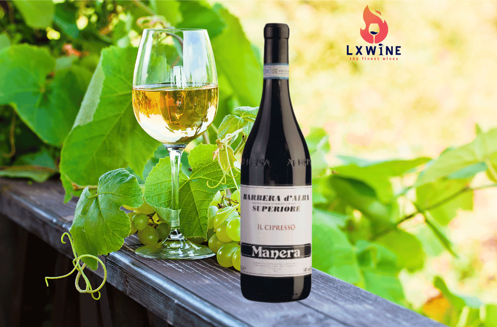 Rượu Vang Ý Manera Barbera